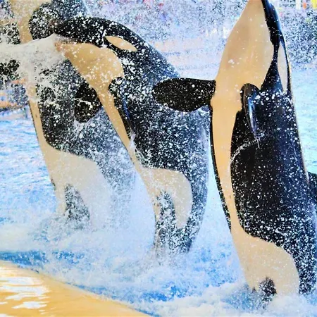 Apartman Modern In Adeje, 65 Sqm, Year-round Pool Costa Adeje (Tenerife)