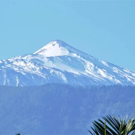 Apartment Modern In Adeje, 65 Sqm, Year-round Pool Costa Adeje (Tenerife)